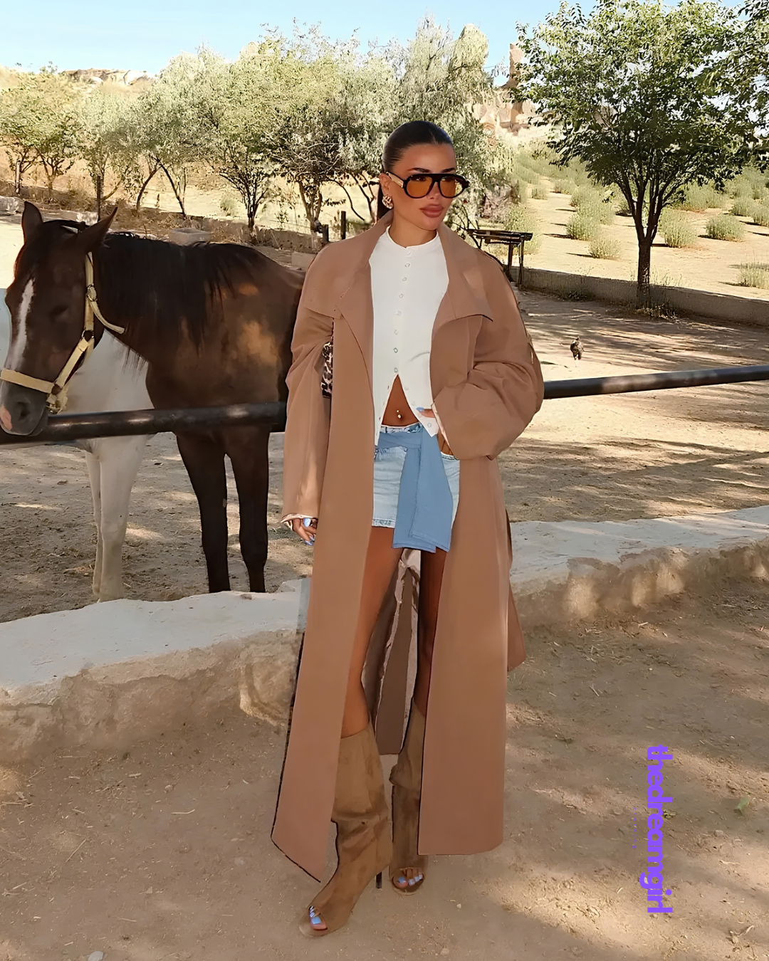 The Long Trench Camel
