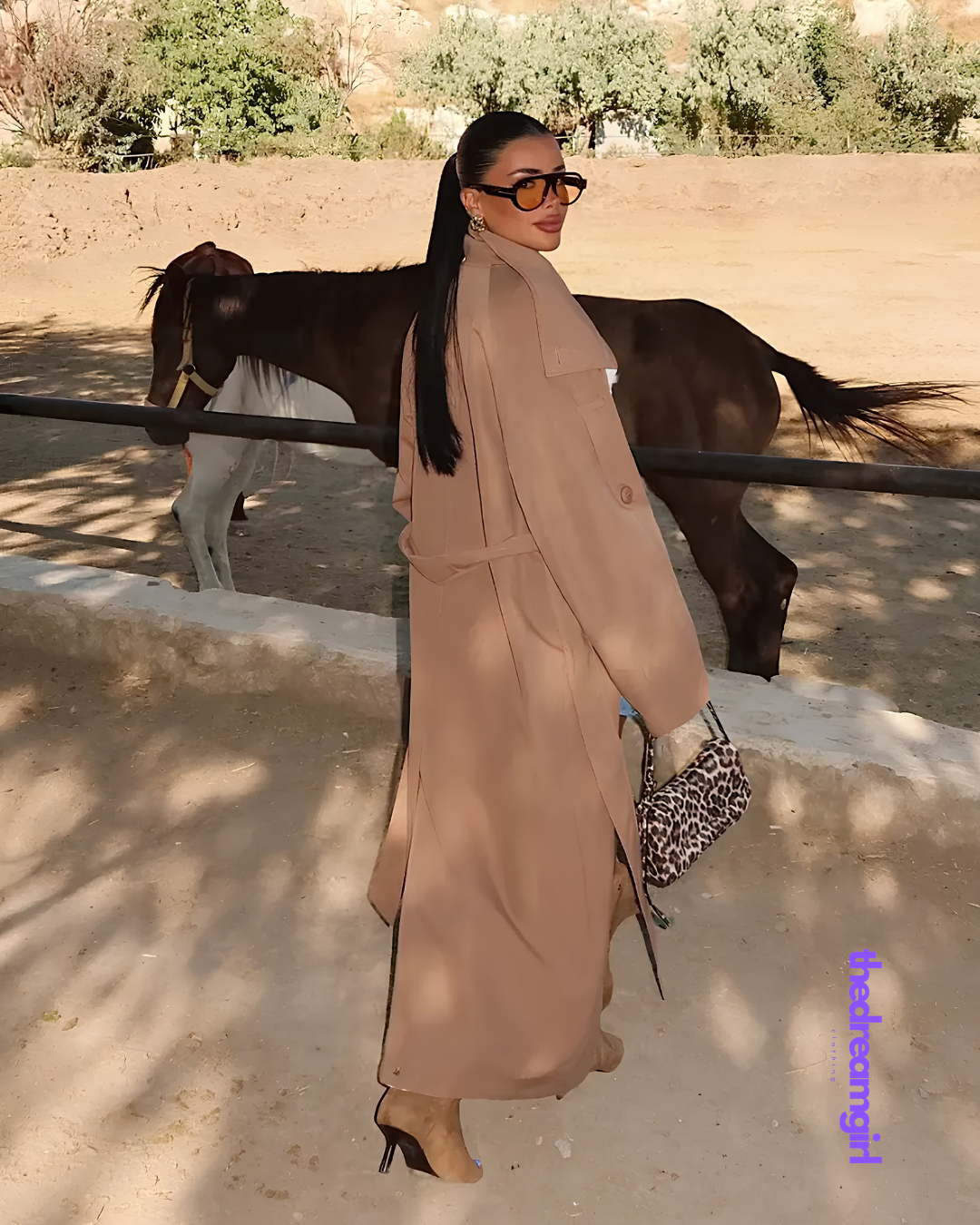 The Long Trench Camel